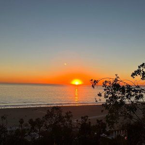 Meet your Posher, Ivy